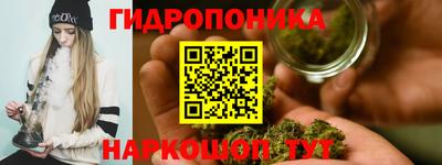 spice Моздок
