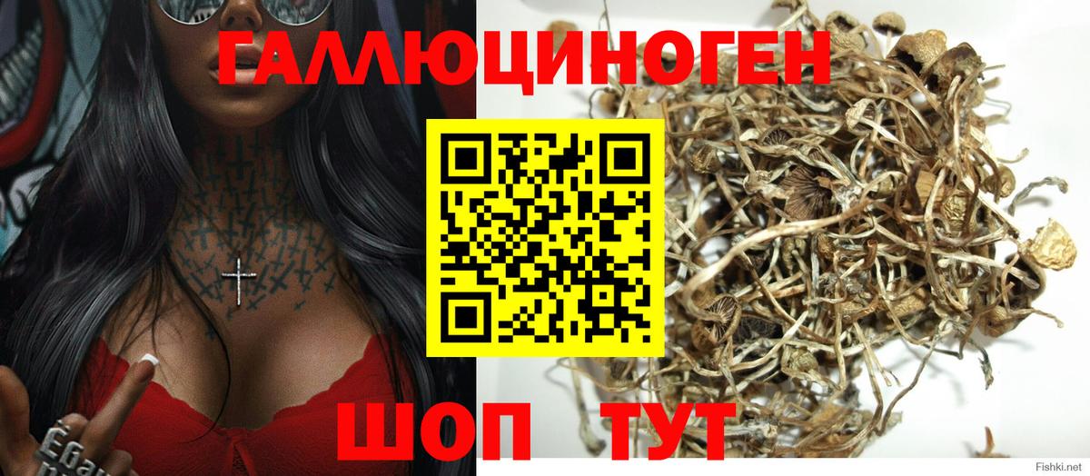 Энгельс  Галлюциногенные грибы Psilocybe  где продают наркотики  Вход с VPN  Псилоцибиновые грибы MAGIC MUSHROOMS 