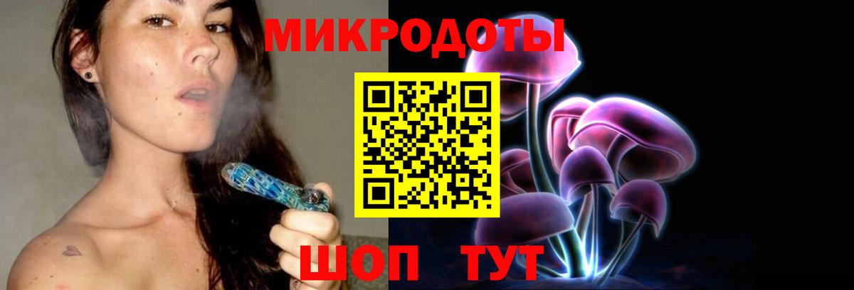 Псилоцибиновые грибы Psilocybine cubensis Энгельс
